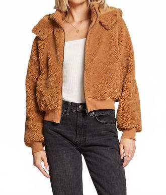 Saltwater Luxe Alamoso Teddy Bear Jacket In Camel