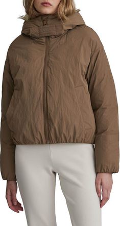 NVLT Faux Fur Lined Hooded Jacket in Sand at Nordstrom Rack, Size X-Large