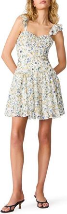 Steve Madden Ashtin Floral Flutter Sleeve Minidress in Wildflower at Nordstrom, Size 10