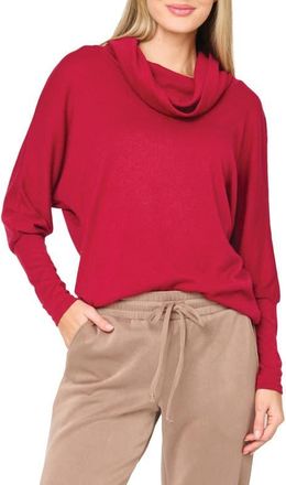 Gibsonlook Cozy Up Cowl Neck Sweater in Cranberry at Nordstrom, Size Xx-Small