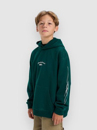 Quiksilver Stretch Tribal Kids Hoodie groen