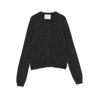Lisa Yang Truien & Vesten, Dames, Grijs, S, Kasjmier, Trui met knoopsluiting en ronde hals
