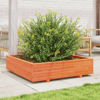 Berkfield Home Decorative Garden Planter Wax Brown 100x100x26.5 cm Solid Wood Pine