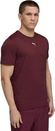 Puma Tad Performance-sport-T-shirt voor heren (Bourgondi&euml;)