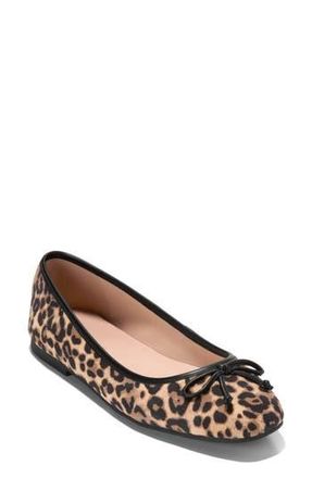 Cole Haan Yara Ballet Flat in Leopard Print Suede at Nordstrom Rack, Size 7