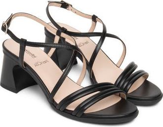 Nero Giardini Strappy Flared Heel Sandal in Black at Nordstrom, Size 11Us