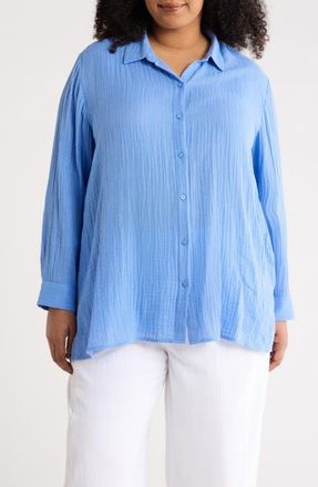 Eileen Fisher Stripe Organic Cotton Button-Up Shirt in Cornflower at Nordstrom, Size 3X