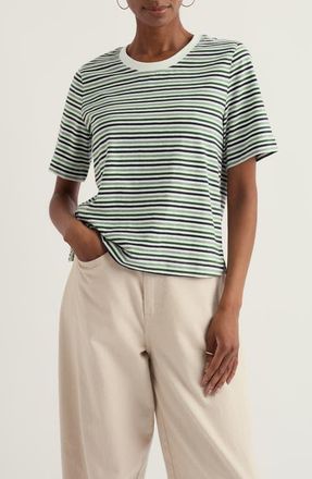 Seasalt Cornwall Copseland Stripe Organic Cotton T-Shirt in Pellitras Treetop at Nordstrom, Size 18