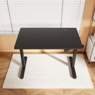 Elegant Lighting Electric Standing Desk 1200600mm, Ergonomic Office Desk, 60KG Weight Capacity, Black