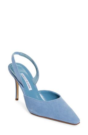 Manolo Blahnik Borelapla Slingback Pump in Blue at Nordstrom, Size 10.5Us