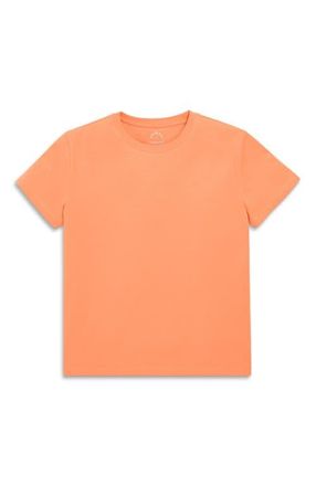primary Adult Easy Crewneck Tee in Goldfish at Nordstrom, Size X-Large