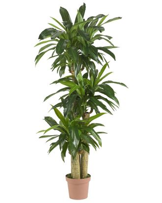 Nearly Natural Corn Stalk Dracaena Silk Plant (Real Touch)