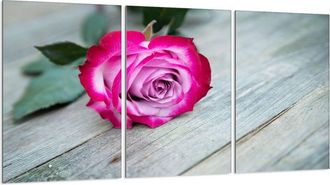 OEM Placa Protectora De Vidrio Para Estufa 3x30x52