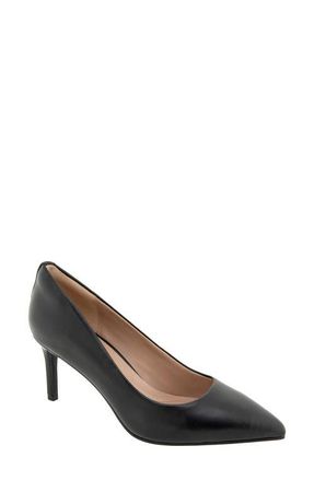 BCBGeneration Clara Pointed Toe Pump in Black Leather at Nordstrom, Size 8.5