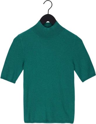 Notshy Madeleine Turtleneck - Dames - Coltruien - Groen - M - Kasjmier - Truien & Vesten