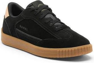 Sorel Ona Drift Lace-Up Sneaker in Black/Sea Salt at Nordstrom, Size 8.5