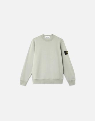 Stone Island Mens S0051 Compass Sweatshirt Sage Green - Size: 44