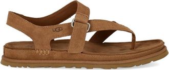 UGG SANDALO GOLDENGAZE TOE POST CHESTNUT UGG