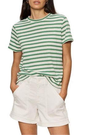 Sanctuary Perfect Texture Stripe Tee in Green Juice/White at Nordstrom, Size Xx-Large P