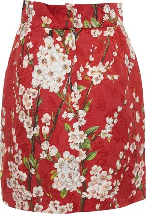Dolce & Gabbana Minigonna a fiori - Rosso