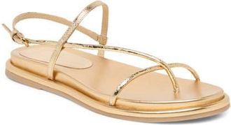 Dolce Vita Dom Strappy Sandal in Gold Distressed Leather at Nordstrom, Size 7.5