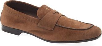 Prada Piped Loafer in Cacao at Nordstrom, Size 10.5Us