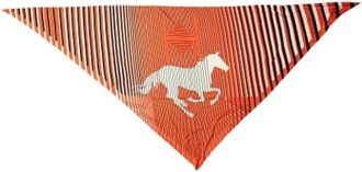 Herm&egrave;s Pre-owned Scarves, female, Orange, Size: ONE SIZE Pre-owned H Au Galop Scarf
