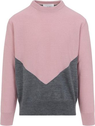 Jil Sander Pink Wool Cn Long Sleeves Jumper