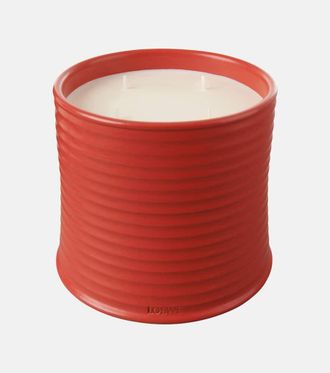 Loewe Tomato Leaves Large scented candle