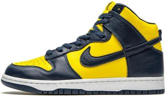 Nike Fitness, Heren, Veelkleurig, 43 EU, Leer, Dunk High SP
