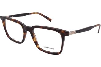 Ferragamo OPTICAL SF2969-242-53-19-145 NON-POLARIZED