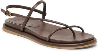 Dolce Vita Dom Strappy Sandal in Dark Brown Leather at Nordstrom, Size 6.5