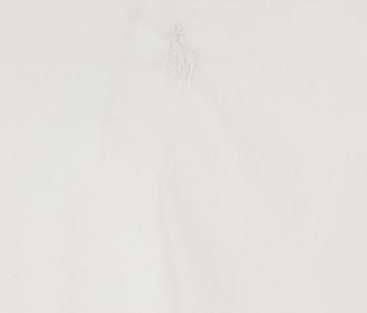 Polo Ralph Lauren Mens Shirt Slim Fit White Cotton