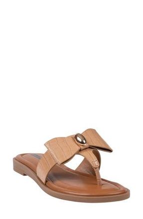 Good Choice Shoes Alba Bow Flat Slide Sandal in Beige at Nordstrom Rack, Size 7.5