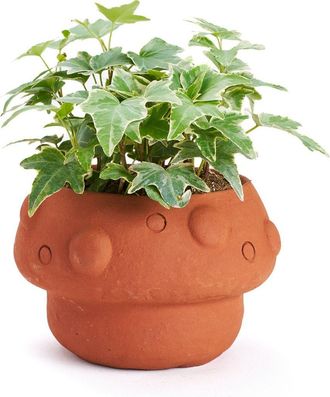 Matr Boomie Rakshana Plant Pot in Mushroom at Nordstrom