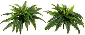 Nearly Natural 40-in UV Resistant Artificial Boston Fern (Indoor/Outdoor) - Set of 2 in Green at Nordstrom