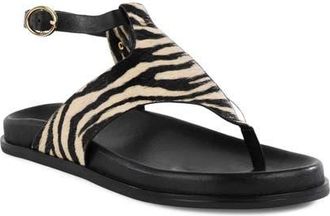 Seychelles In the Zone Ankle Strap Platform Sandal in Zebra at Nordstrom, Size 10