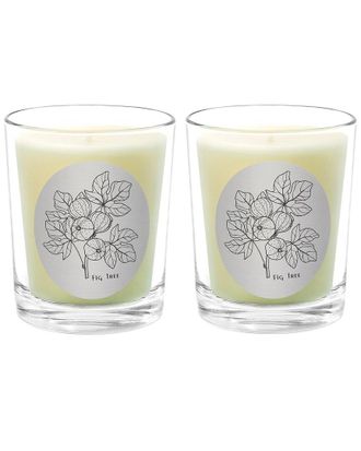 Qualitas Fig Tree Two Scented Beeswax Candle Set