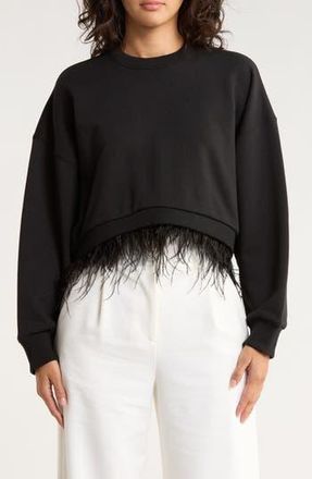Cinq &agrave; Sept Albertine Feather Trim Cotton Blend Sweatshirt in Black at Nordstrom Rack, Size Small