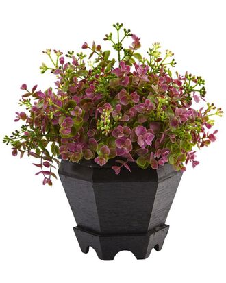 Nearly Natural Sedum & Eucalyptus Plant with Planter