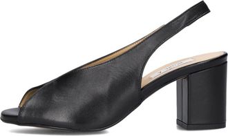 Notre-V Schoenen, Dames, Zwart, 42 EU, Leer, Elegante zwarte sandalen voor dames