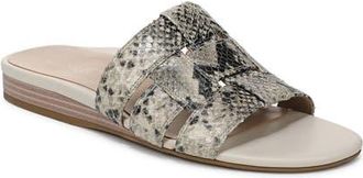 Vionic Glendora Slide Sandal in Cream Snake at Nordstrom, Size 7.5