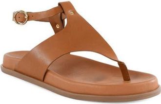 Seychelles In the Zone Ankle Strap Platform Sandal in Tan at Nordstrom, Size 11