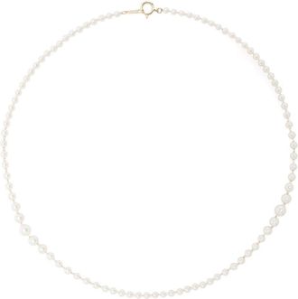 Mizuki 14kt yellow gold Sea Of Beauty Akoya pearl necklace - women - Akoya Pearl/14kt Yellow Gold - One Size
