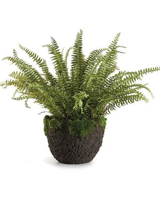 Napa Home & Garden Grand Boston Fern Drop-In