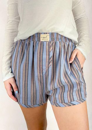 Free People Day To Day Flannel Boxer Shorts In Blue Combo