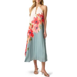 Adrianna Papell Floral Print Sleeveless Chiffon Maxi Dress in Blue Multi at Nordstrom, Size 8