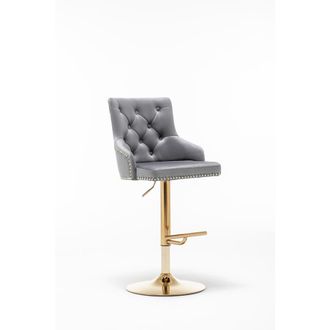Best Master Furniture Brightcast 2-piece Velvet Tufted Gold Bar Stools in Dark Gray