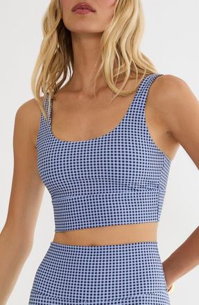 Beach Riot Leah Longline Sports Bra in Blue Gingham at Nordstrom, Size X-Large
