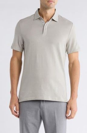 Robert Barakett Artemis Cotton Polo in Dried Sage at Nordstrom Rack, Size Xx-Large